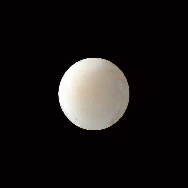 White Coral - 12.00 carats